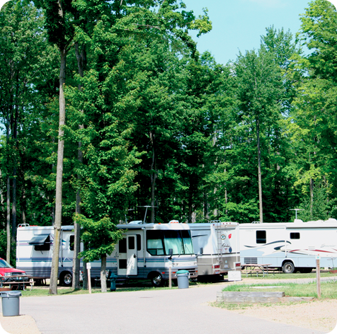 parked RVs surrounded by trees