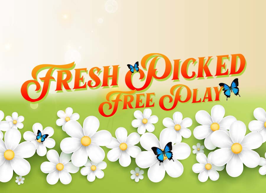 "Fresh Picked Free Play" Decorative outside background with white flowers and blue butterflies.