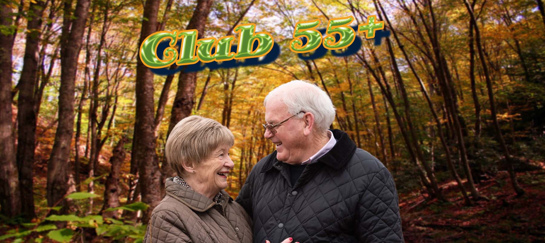 Page banner