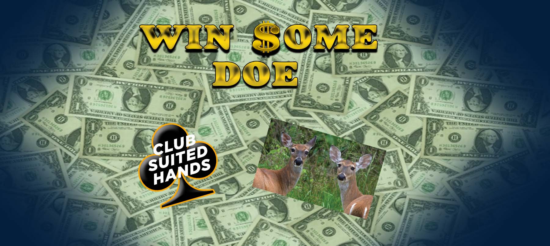 Page banner