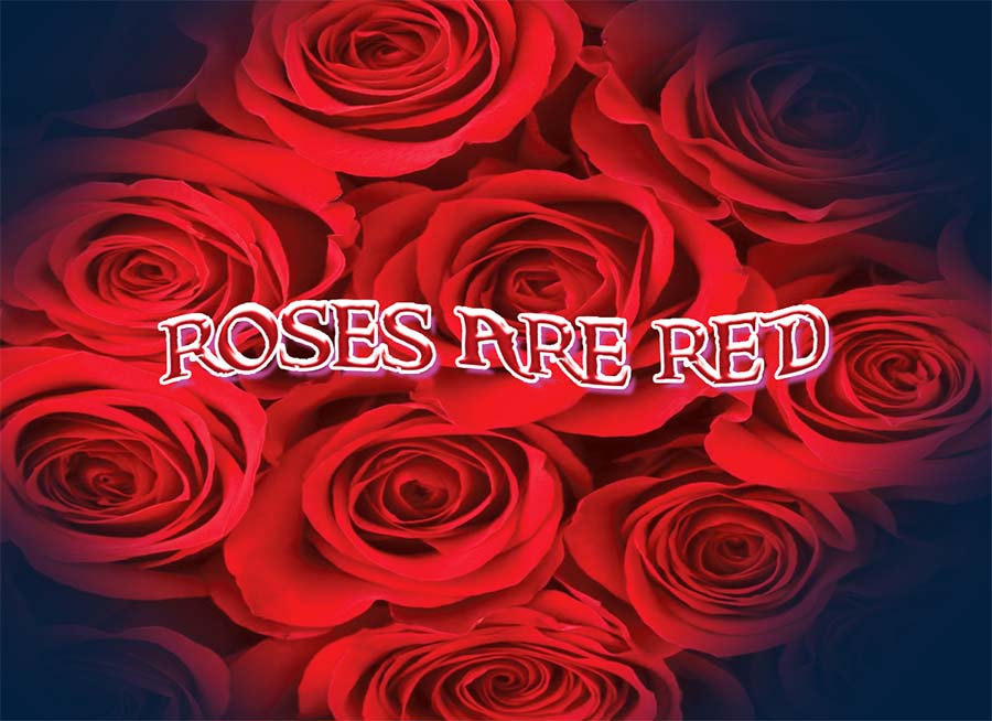 "Roses are Red" background image of Red Roses.